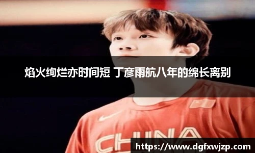 焰火绚烂亦时间短 丁彦雨航八年的绵长离别